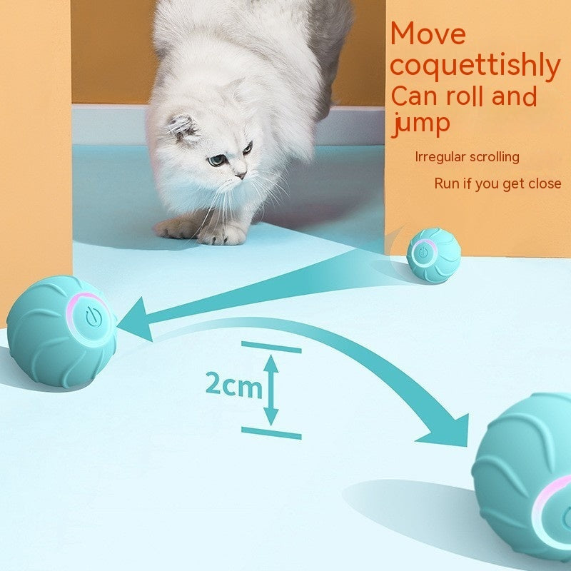 Smart Cat Ball Toys